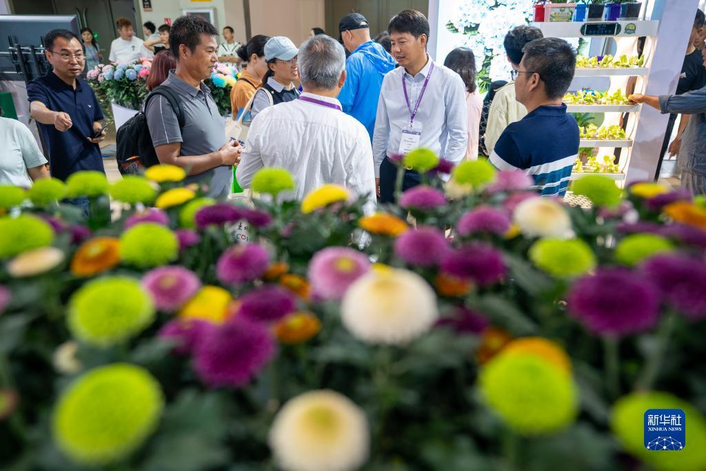 现金游戏在线