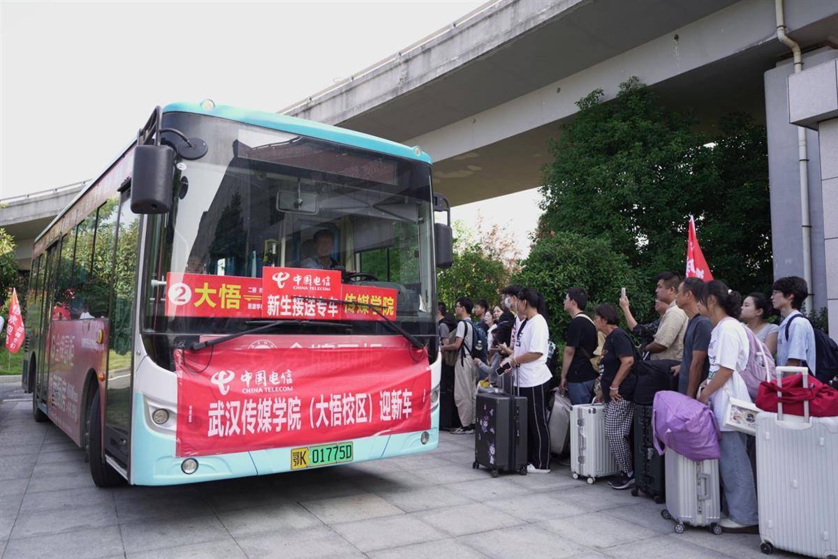 手机号认证3秒送彩金